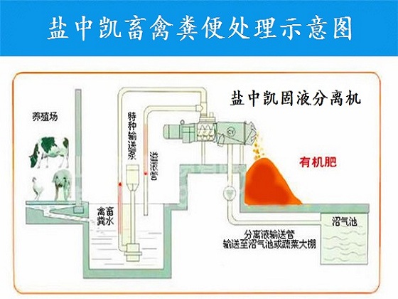 鸡粪麻豆精品国产传媒AV设备